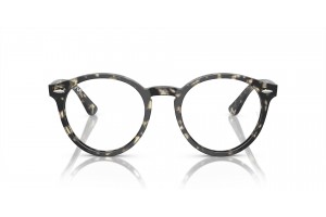 Ray-Ban RX7680V LARRY Grey Havana - demó lencse