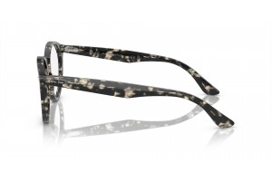 Ray-Ban RX7680V LARRY Grey Havana - demó lencse