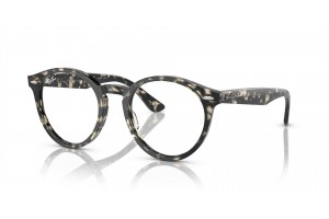 Ray-Ban RX7680V LARRY Grey Havana - demó lencse