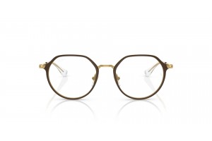 Ray-Ban RY1058 Brown On Gold - DEMO lencse