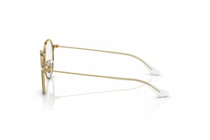 Ray-Ban RY1058 Brown On Gold - DEMO lencse