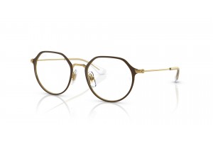 Ray-Ban RY1058 Brown On Gold - DEMO lencse