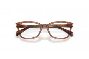 Ray-Ban RY1591 Transparent Brown gyermek keret