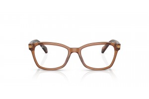 Ray-Ban RY1591 Transparent Brown gyermek keret
