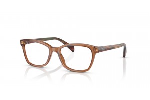 Ray-Ban RY1591 Transparent Brown gyermek keret