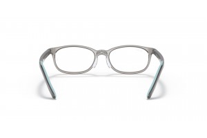 Ray-Ban RY1613D 3908 Transparent Grey szemüveg