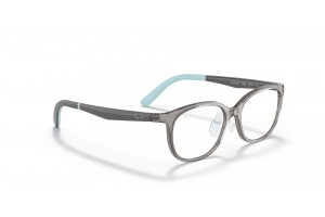 Ray-Ban RY1614D 3908 átlátszó szürke gyerek szemüveg