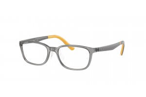 Ray-Ban RY1617D 3774 Transparent Grey - demo lencse