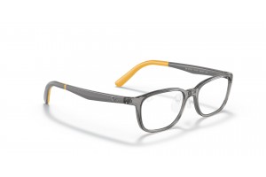 Ray-Ban RY1617D 3774 Transparent Grey - demo lencse