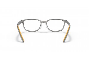 Ray-Ban RY1617D 3774 Transparent Grey - demo lencse