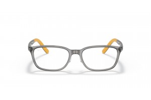 Ray-Ban RY1617D 3774 Transparent Grey - demo lencse