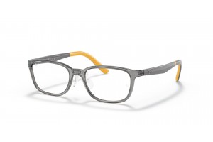 Ray-Ban RY1617D 3774 Transparent Grey - demo lencse