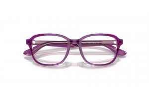 Ray-Ban RY1627 gyerek szemüveg Top Purple/Pink/Beige