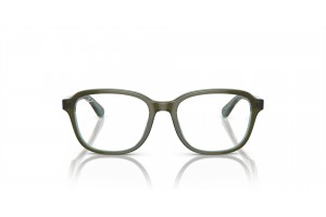Ray-Ban RY1627 Top Green & Orange & Light Blue