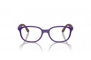 Ray-Ban RY1632 3962 Violet On Bordeaux szemüveg