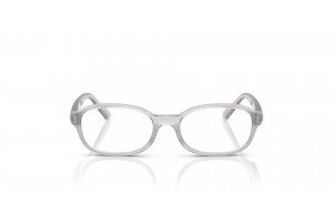 Ray-Ban RY1904 Transparent Grey - gyermek