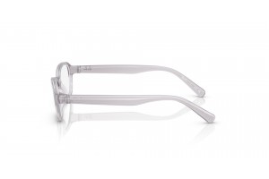 Ray-Ban RY1904 Transparent Grey - gyermek