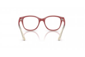 Ray-Ban RY1950 7204 Red On Transparent gyermek keret